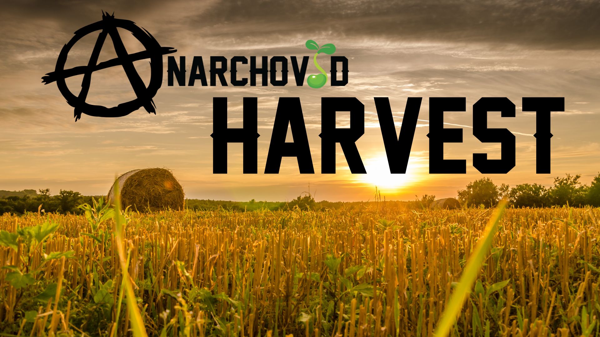 Anarchovid 4: Harvest is almost here!