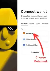 Choose Metamask