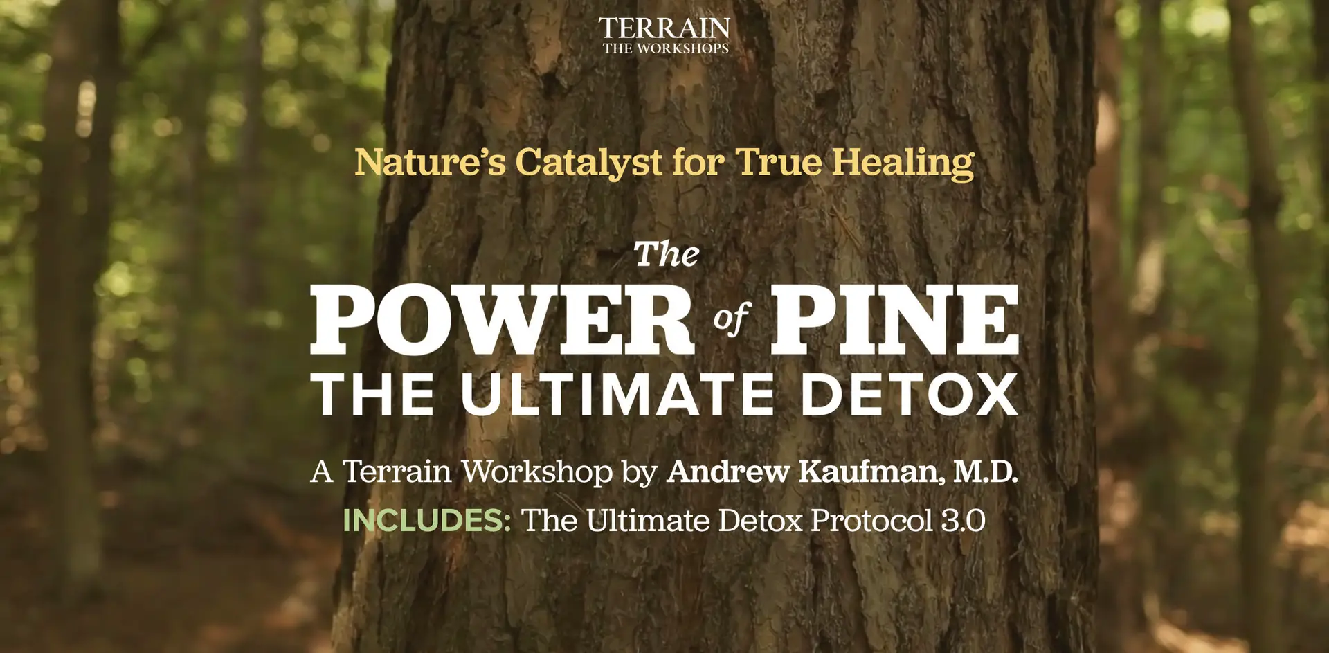 power of pine