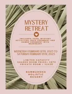 mystery retreat