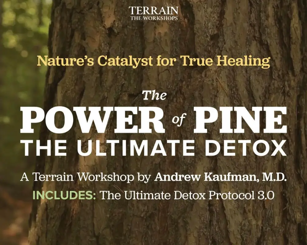 power of pine